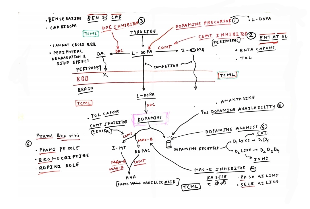 Anti parkinson drugs, TCML Pharmacology
