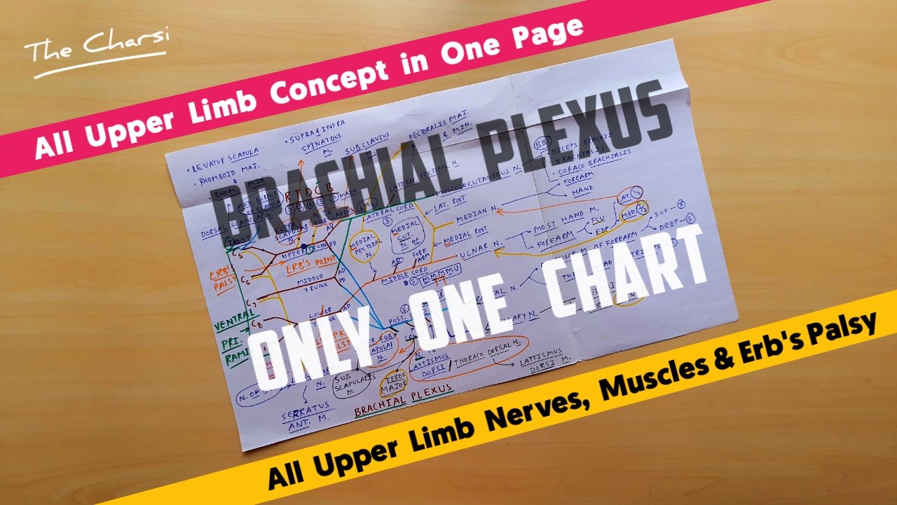 Plexus Balance Chart.pdf Six Charts - TCML - The Charsi of Medical Literature