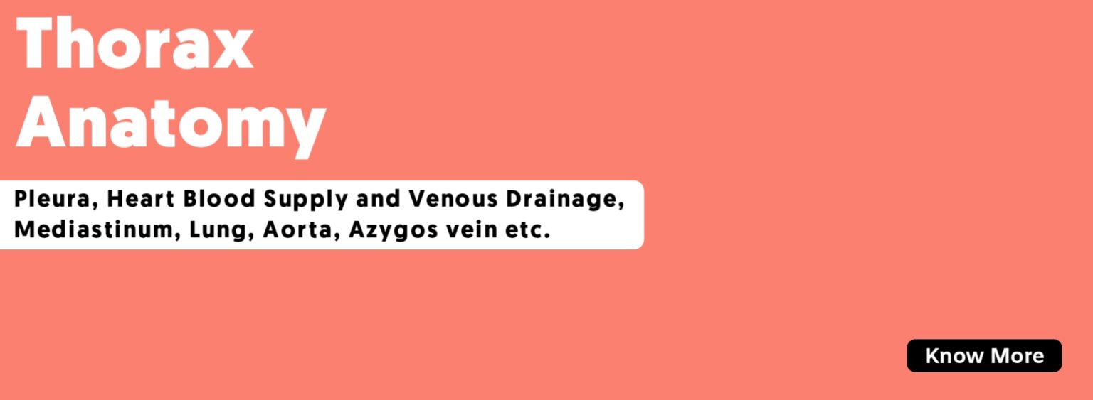 Left coronary artery - TCML - The Charsi of Medical Literature