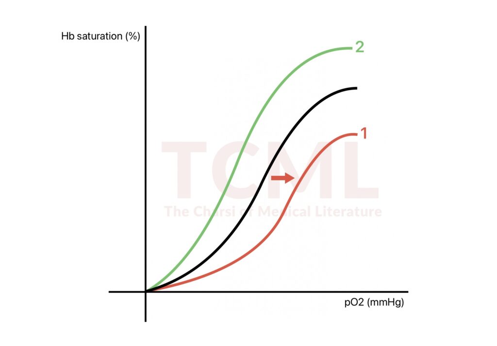 Oxygen-hemoglobin dissociation curve