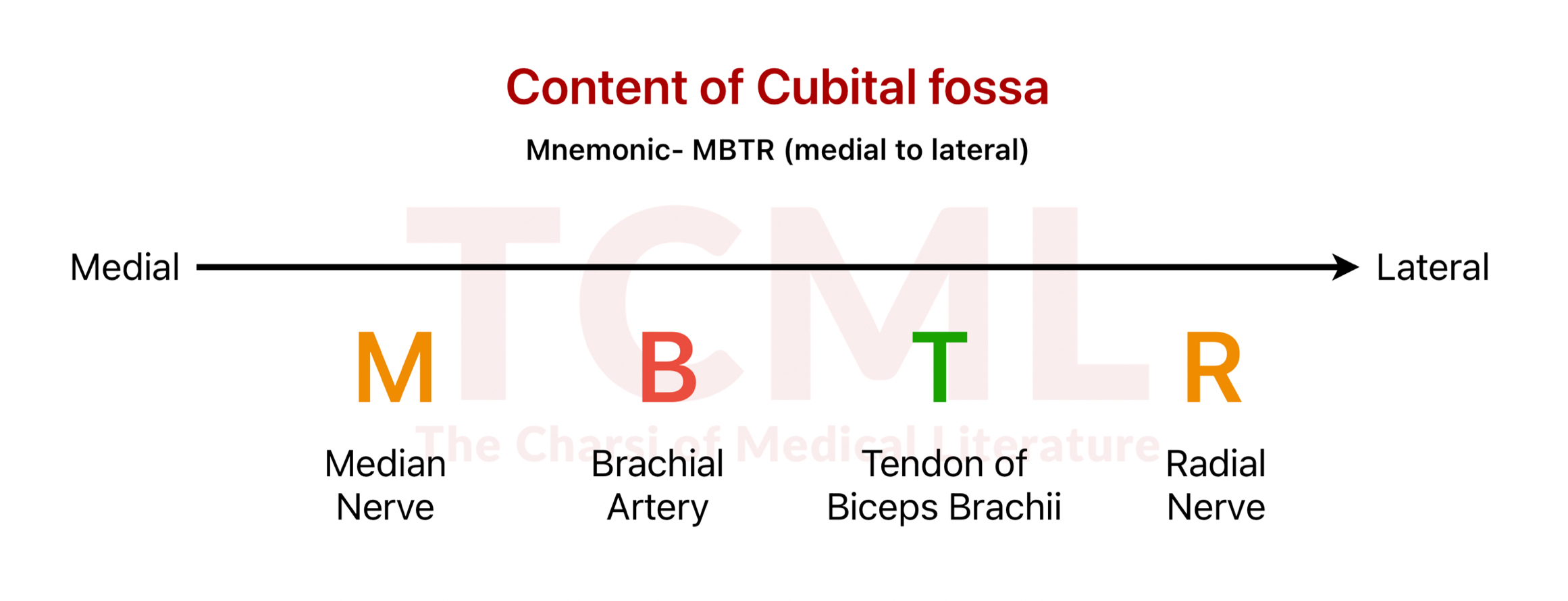 Arpit gupta (from TCML Team)
