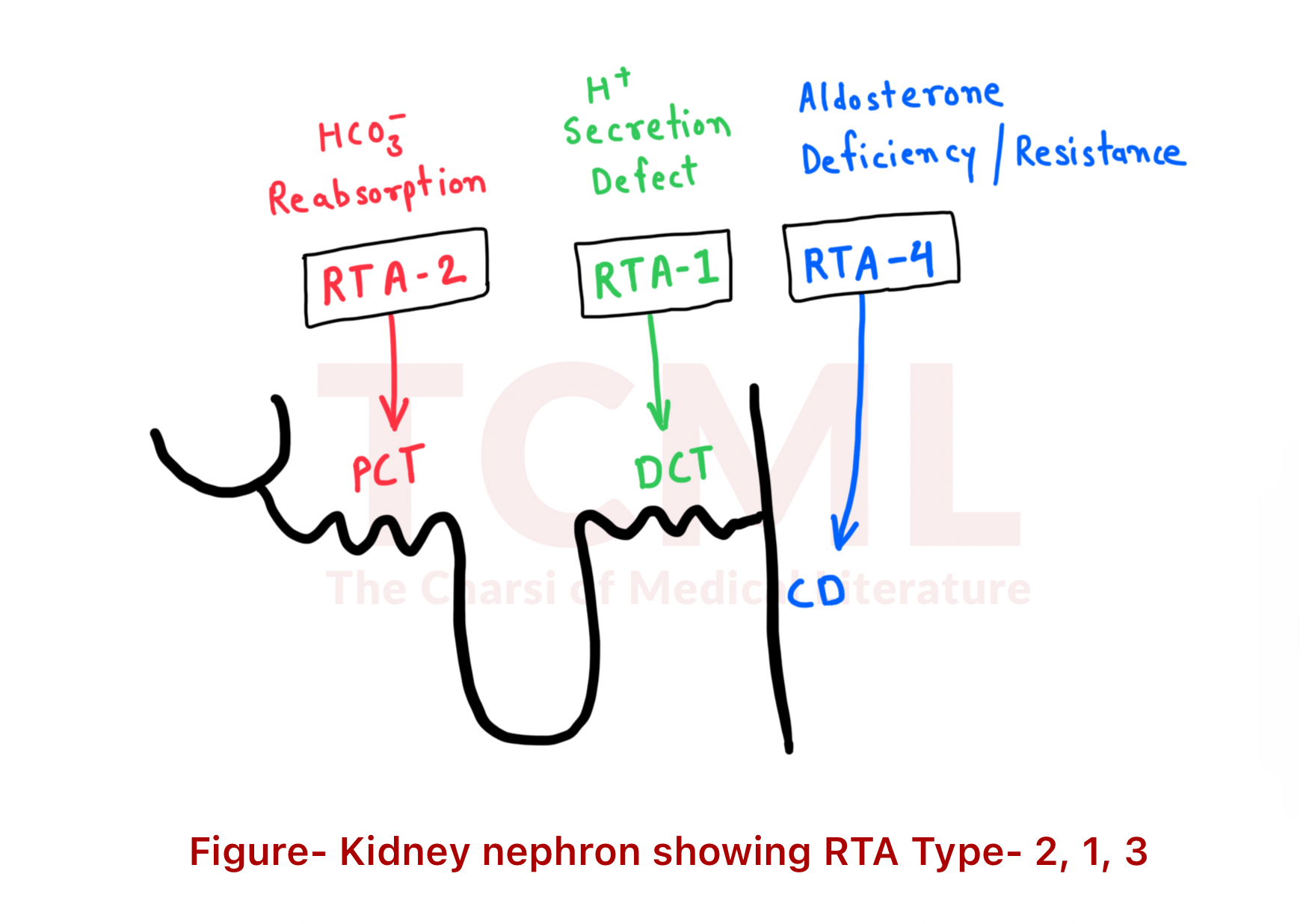 Renal tubular acidosis (RTA)