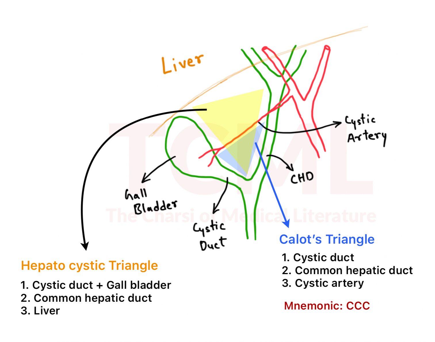 Calot’s triangle Calot’s triangle