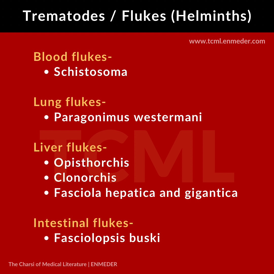 CB40F4A7-0EA0-4797-B1A7-C9D63E7B832F