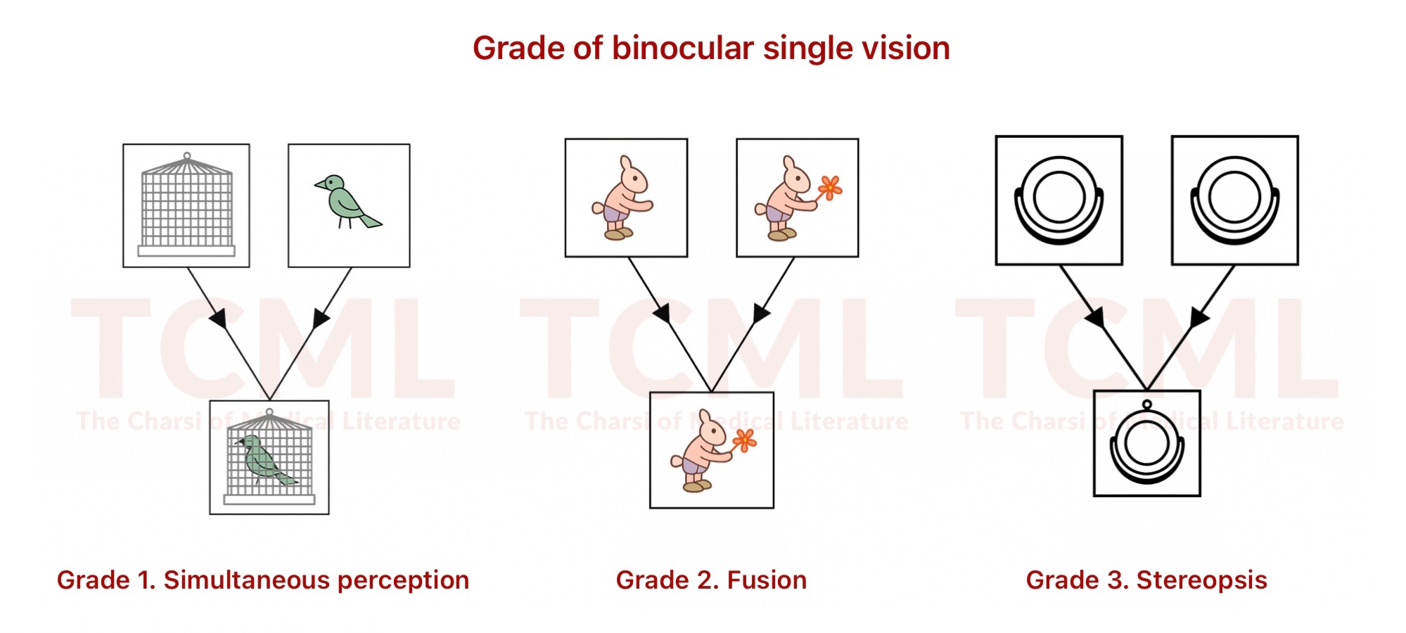 Binocular single vision
