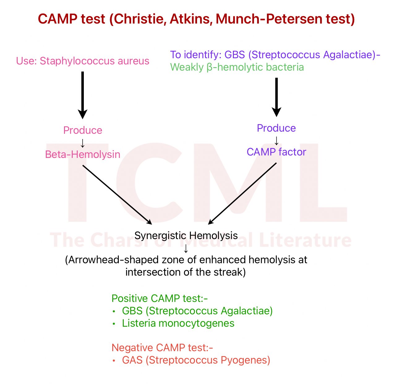 CAMP test and Reverse CAMP test - TCML - The Charsi of Medical Literature