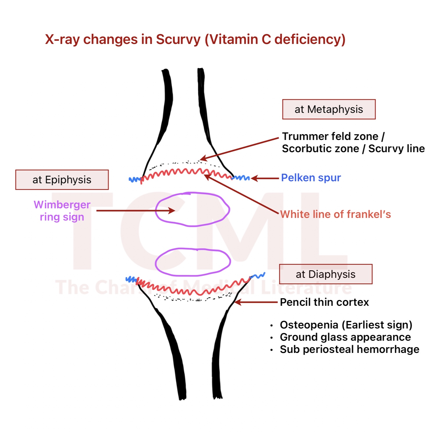 Screenshot Screenshot