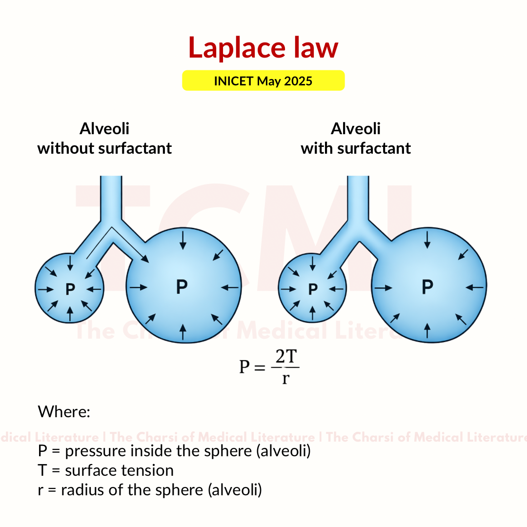 Copy of Toxins that increase cAMP