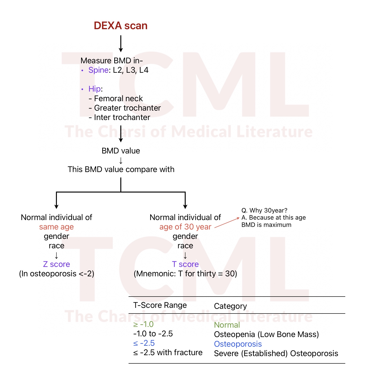 Dexa scan, T score, Z score
